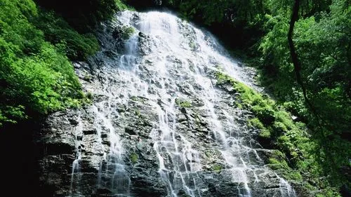 先进高效高标准